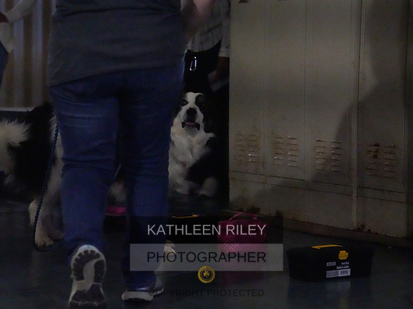 2022-KathleenRileyPhotography042