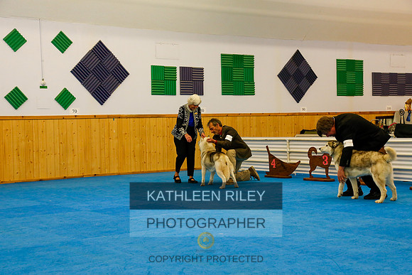 2022-KathleenRileyPhotography-9568