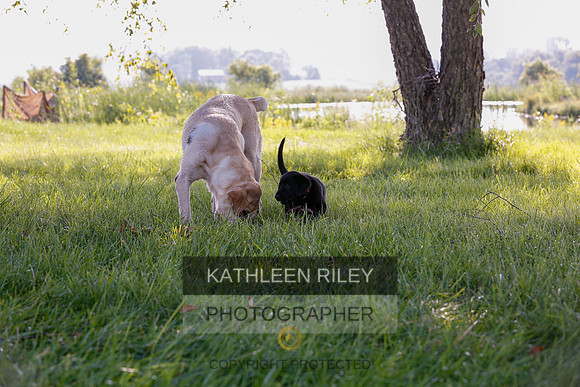 2022-KathleenRileyPhotography-7859
