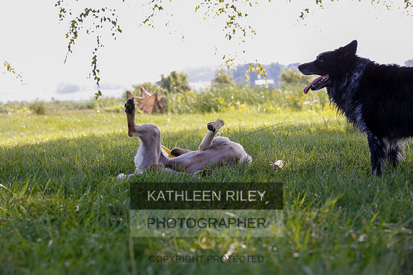 2022-KathleenRileyPhotography-7941