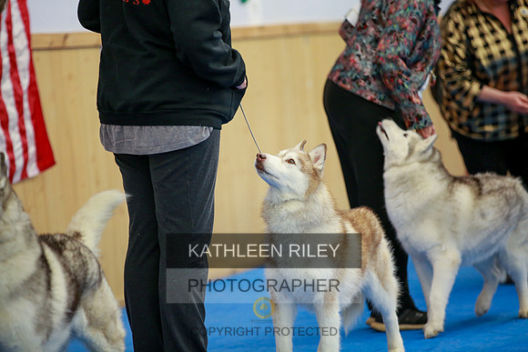 2022-KathleenRileyPhotography-5569