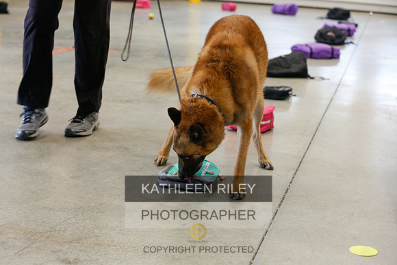 2022-KathleenRileyPhotography-4978