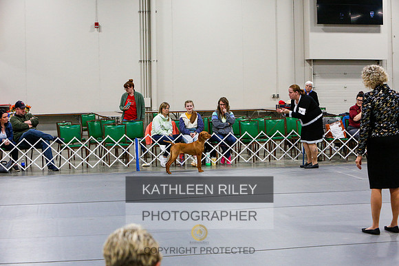 2022-KathleenRileyPhotography-7385