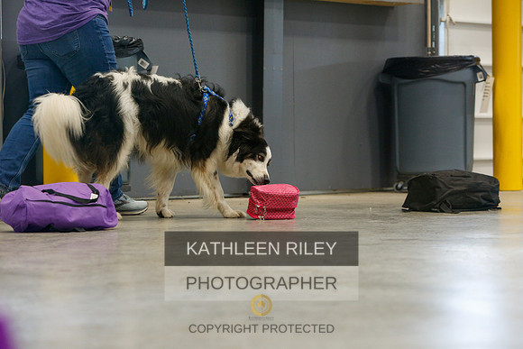 2022-KathleenRileyPhotography-5259
