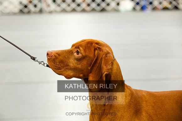 2022-KathleenRileyPhotography-0774