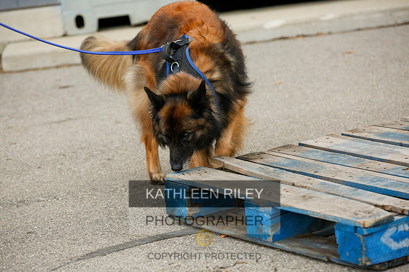 2022-KathleenRileyPhotography-7521