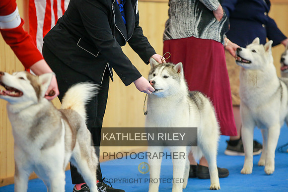 2022-KathleenRileyPhotography-6075