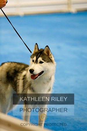 2022-KathleenRileyPhotography-7872