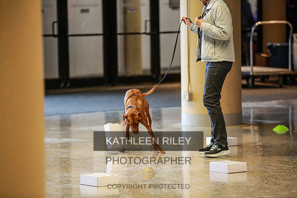 2022-KathleenRileyPhotography-7355