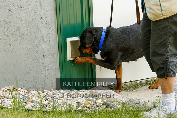2022-KathleenRileyPhotography-0320