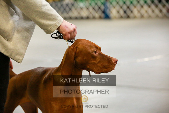 2022-KathleenRileyPhotography-8788
