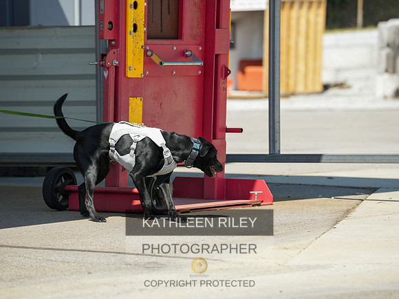 2022-KathleenRileyPhotography-04116
