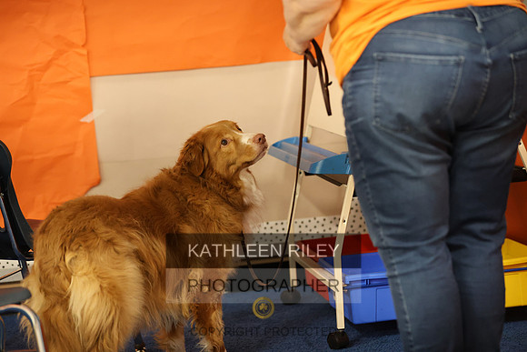 SJLT6809