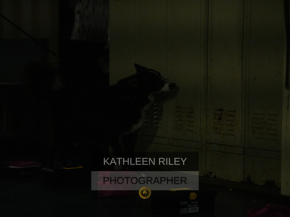 2022-KathleenRileyPhotography080