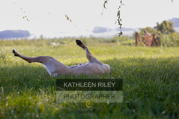 2022-KathleenRileyPhotography-7948