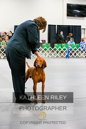 2022-KathleenRileyPhotography-6892