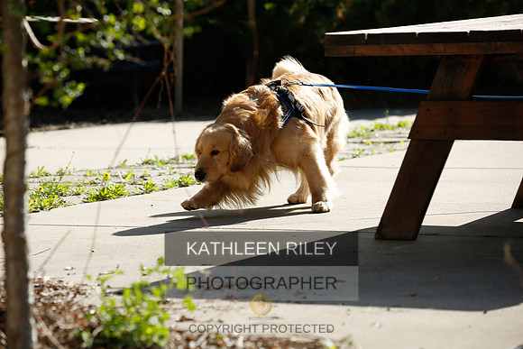 2022-KathleenRileyPhotography-2623