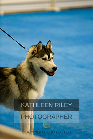 2022-KathleenRileyPhotography-7869