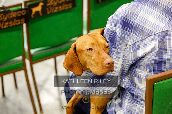 2022-KathleenRileyPhotography-0719