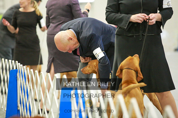 2022-KathleenRileyPhotography-8498
