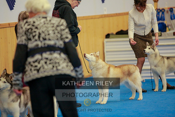 2022-KathleenRileyPhotography-6377
