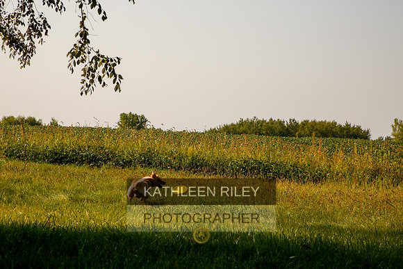 2022-KathleenRileyPhotography-5527
