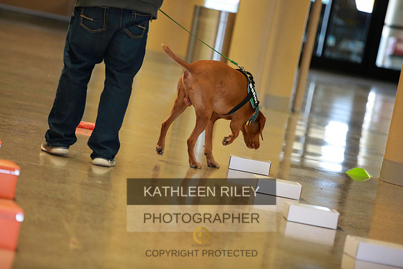 2022-KathleenRileyPhotography-7589