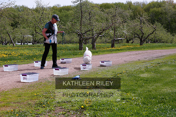 2022-KathleenRileyPhotography-8764