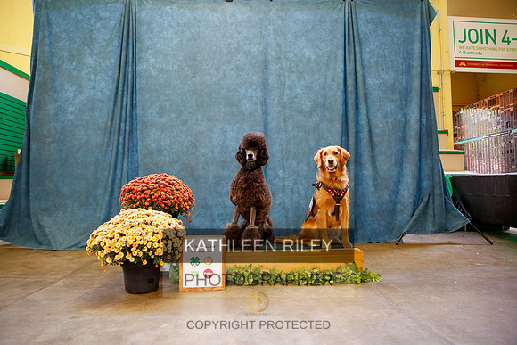 2022-KathleenRileyPhotography-0689