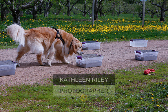 2022-KathleenRileyPhotography-8745