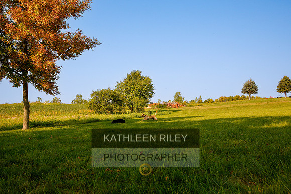 2022-KathleenRileyPhotography-5552