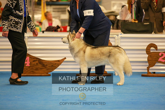 2022-KathleenRileyPhotography-6168