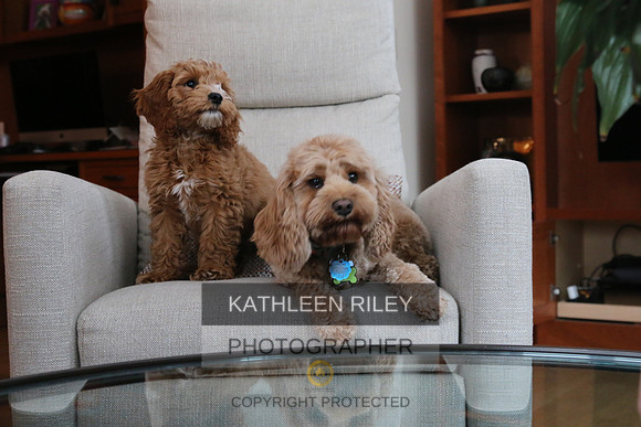 2022-KathleenRileyPhotography-1058