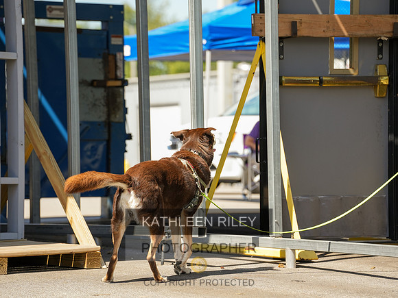 2022-KathleenRileyPhotography-04253