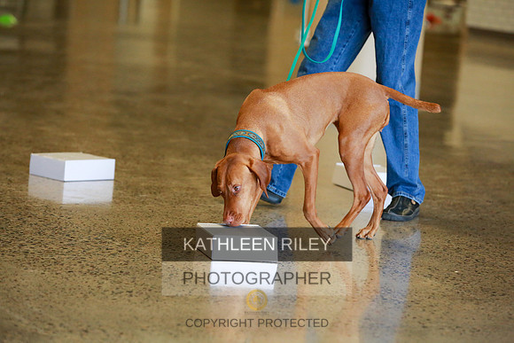 2022-KathleenRileyPhotography-7554