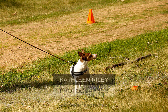 2022-KathleenRileyPhotography-0230