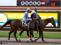 Juan Vazquez on Furys Folly  AQHA at Canterbury Park