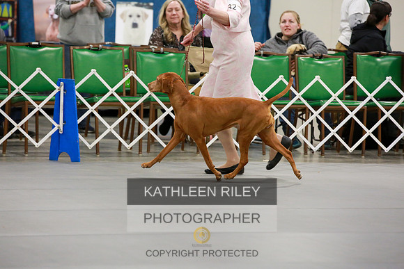 2022-KathleenRileyPhotography-8088