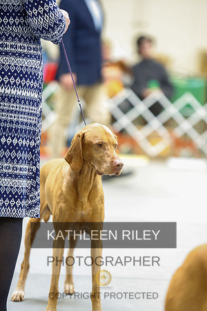 2022-KathleenRileyPhotography-3129
