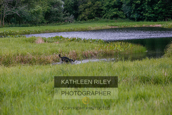 2022-KathleenRileyPhotography-3377