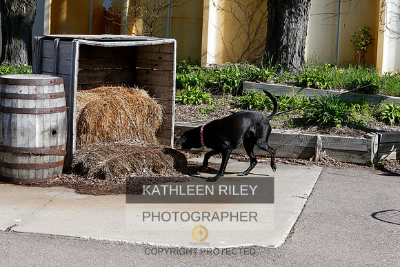 2022-KathleenRileyPhotography-7637