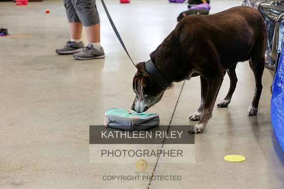 2022-KathleenRileyPhotography-5247