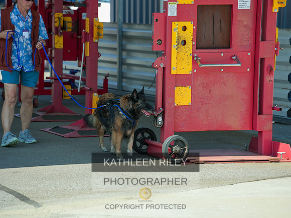 2022-KathleenRileyPhotography-04068