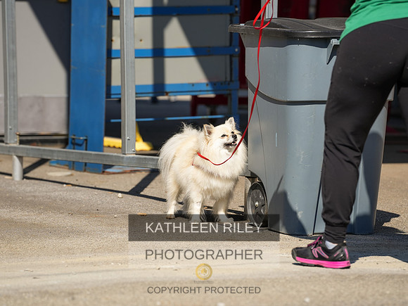 2022-KathleenRileyPhotography-03905