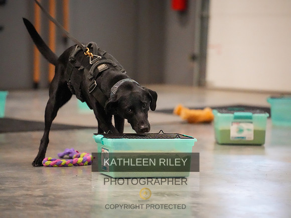 2022-KathleenRileyPhotography-07559