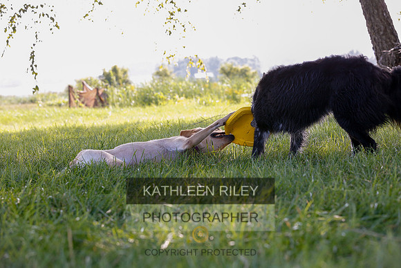 2022-KathleenRileyPhotography-7939