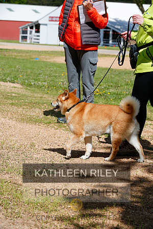 2022-KathleenRileyPhotography-4232