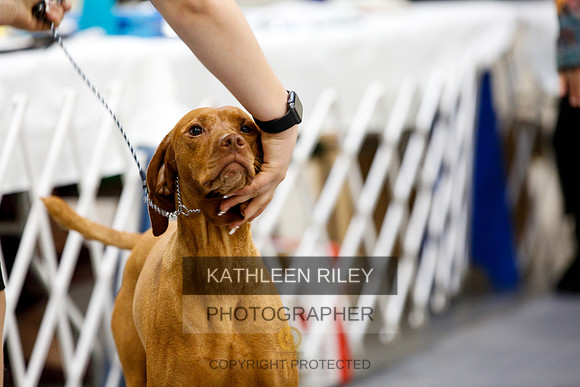 2022-KathleenRileyPhotography-2338