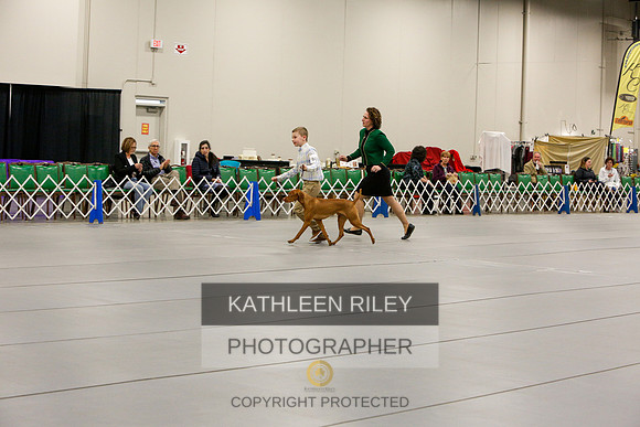 2022-KathleenRileyPhotography-5491