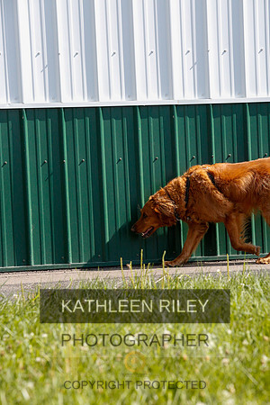 2022-KathleenRileyPhotography-9779